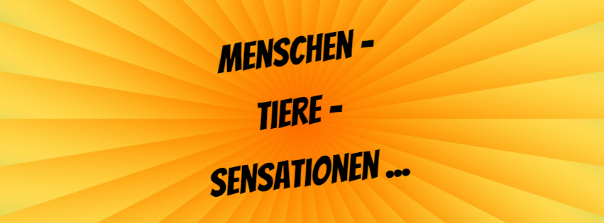 Herren 1 – Menschen, Tiere, Sensationen …